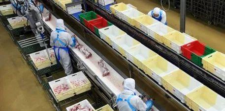 【法总理访华】改善中国消费者猪肉消费体验 中法猪产业链巨头签署战略合作协议